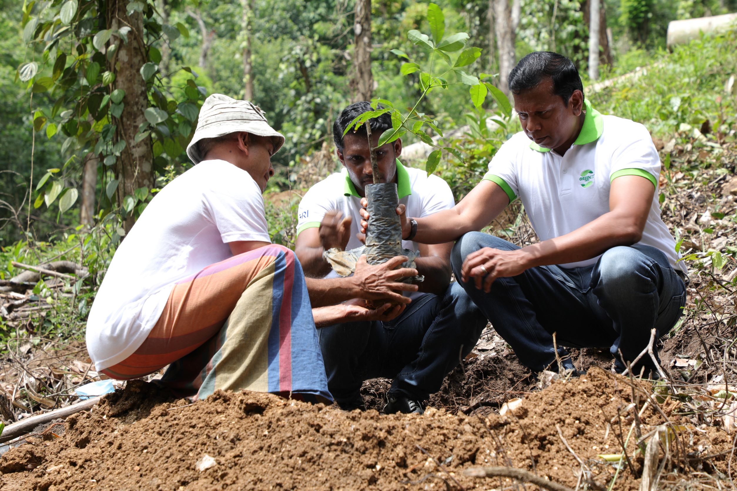 GRI CEO Dr. Mahesha Ranasoma and a farmer planting a new rubber tree