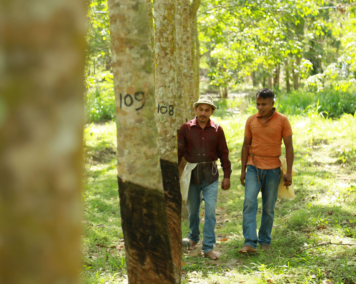 GRI Enhances Connections with Rubber Farmers Image