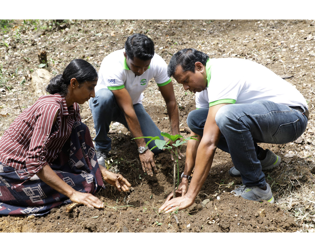 GRI Plants 450 Rubber Trees As We Launch Our “Greening Our Planet” Initiative Image